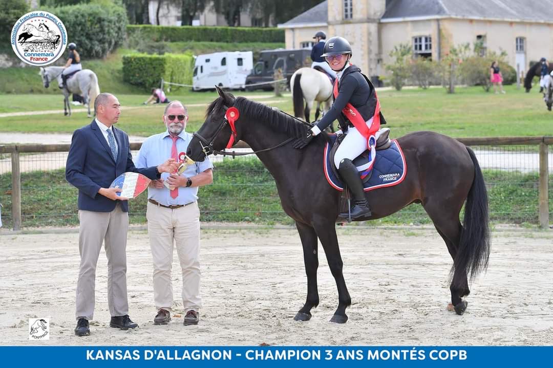 championnat 3 ans montés